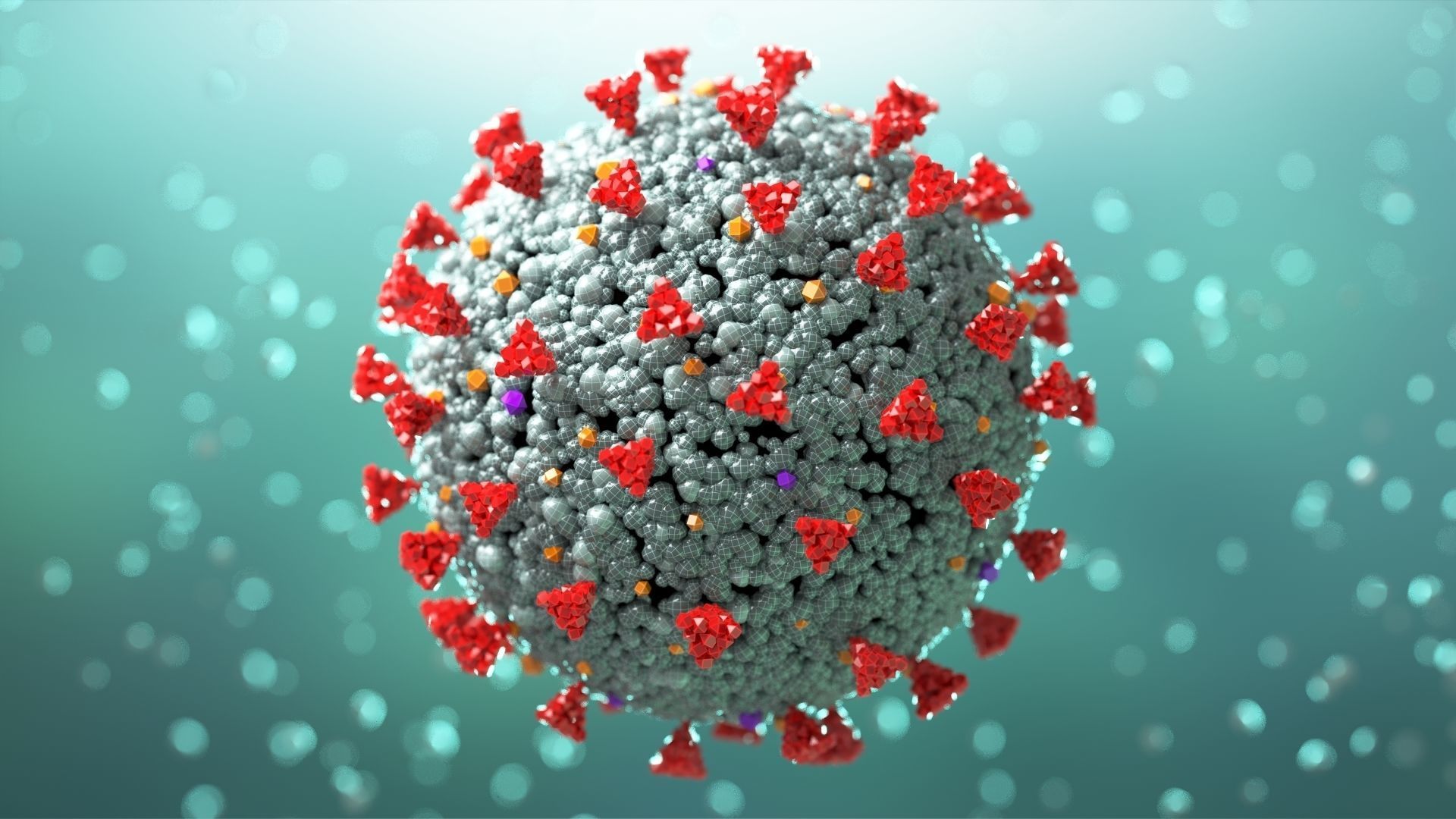 computer generated 3d model of SARS-COV2
